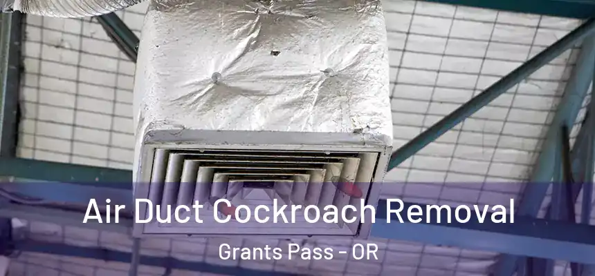  Air Duct Cockroach Removal Grants Pass - OR