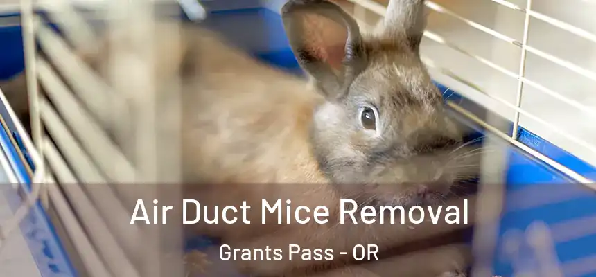 Air Duct Mice Removal Grants Pass - OR