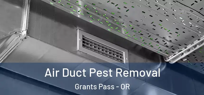 Air Duct Pest Removal Grants Pass - OR