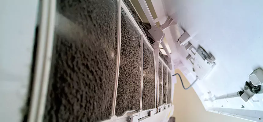 Preventive Air Duct Bacteria Removal in Grants Pass