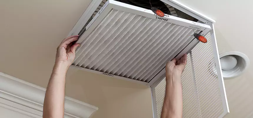 Preventive Cockroach-Proofing for Ducts in Grants Pass