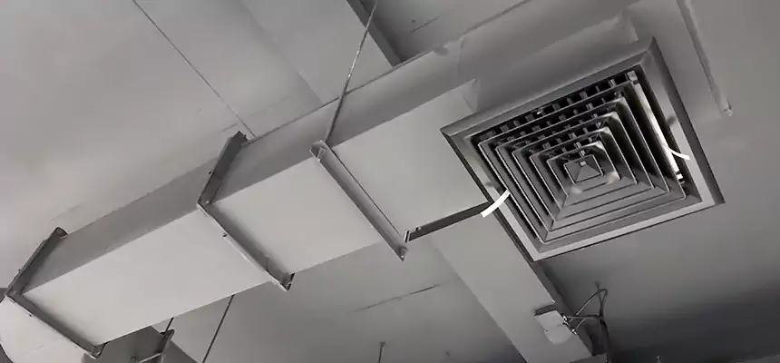 Our Pest Removal From Ducts Services in Grants Pass, OR