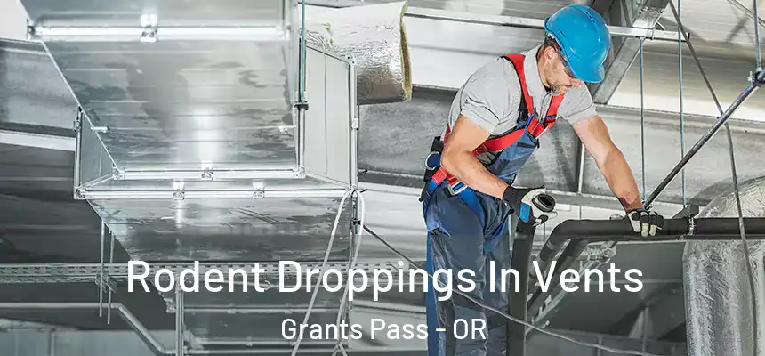  Rodent Droppings In Vents Grants Pass - OR