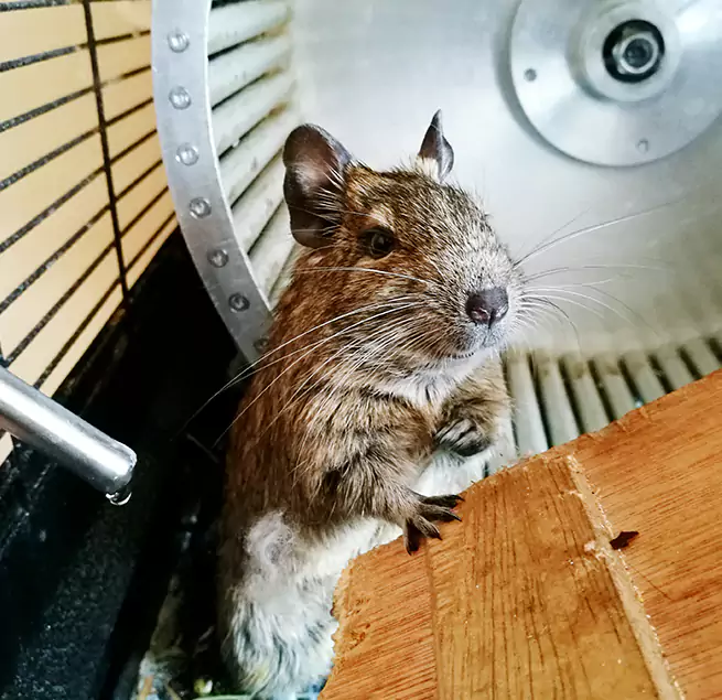 Why Homeowners & Businesses Trust Us Grants Pass, OR?